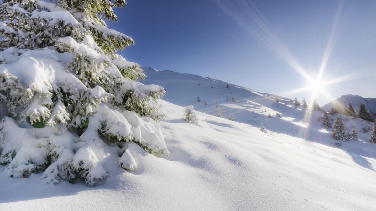 prognoza meteo anm temperaturi craciun