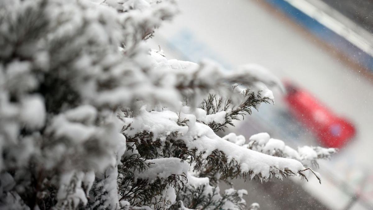 prognoza meteo vremea