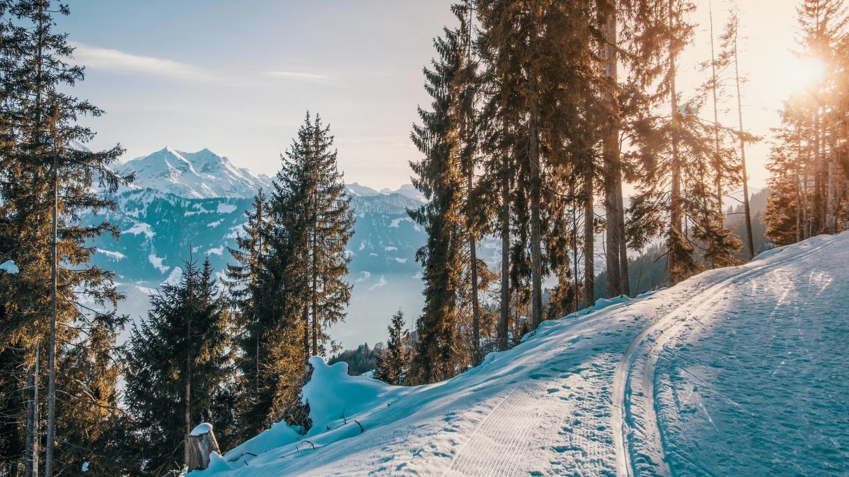 partii de ski