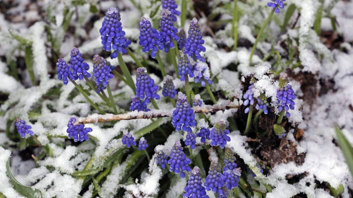 Temperaturi neobișnuite în decembrie, în România! Prognoza meteo pentru următoarele 4 săptămâni