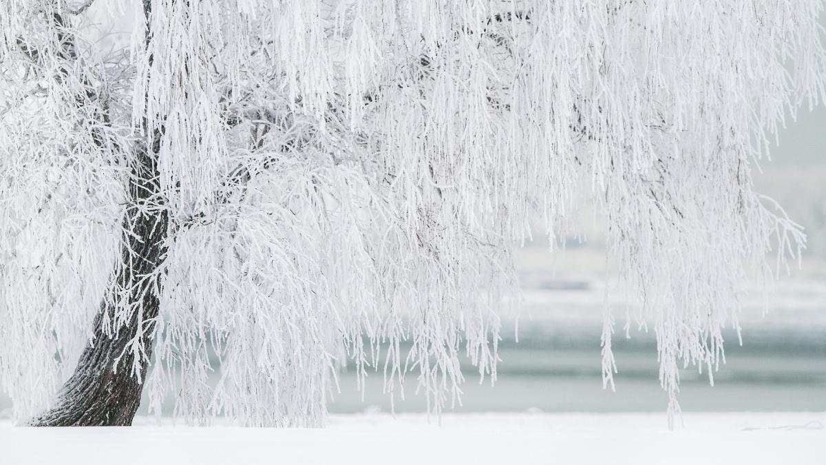 prognoza meteo romania val aer polar eruropa vremea weekend