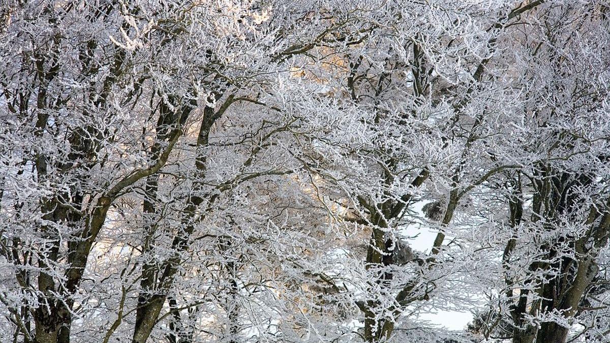 prognoza meteo craciun revelion