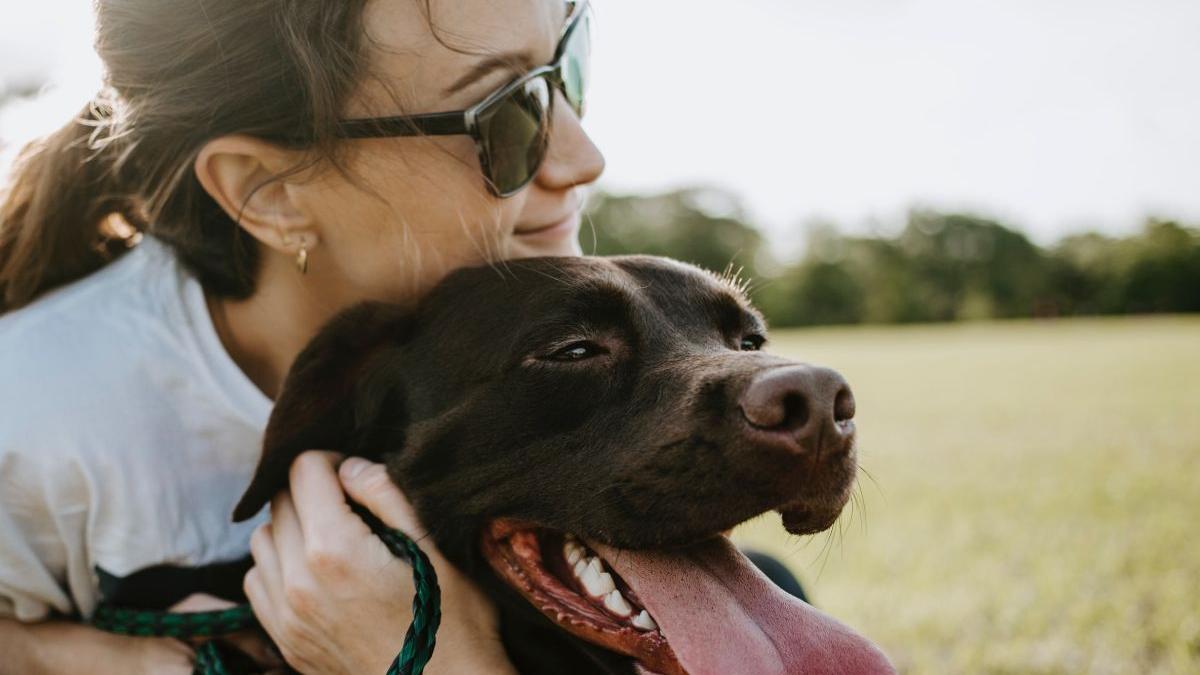 top lucruri de care sa tii cont cand cauti un cabinet veterinar