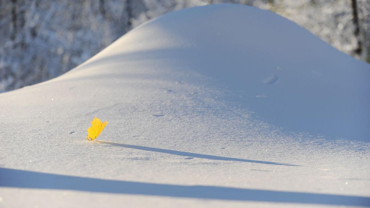 Temperaturi neobișnuite în decembrie, în România! Prognoza meteo pentru următoarele 4 săptămâni