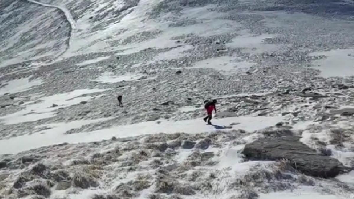 salvamont cautare copii rataciti padure munte schi