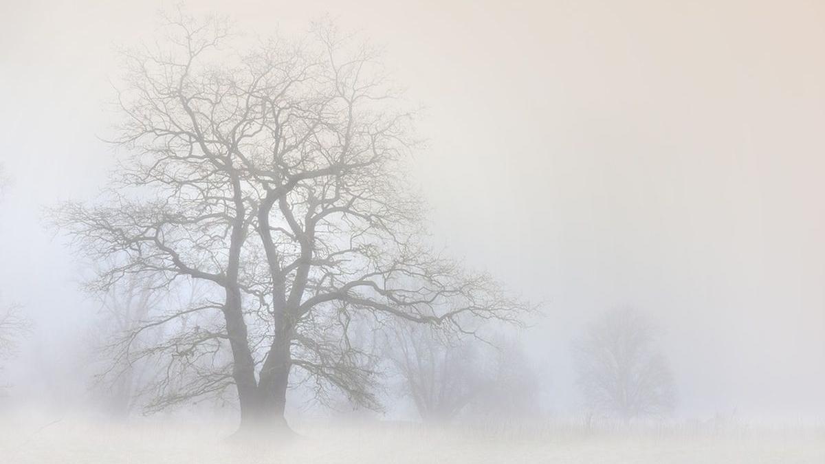 meteo vreme rea