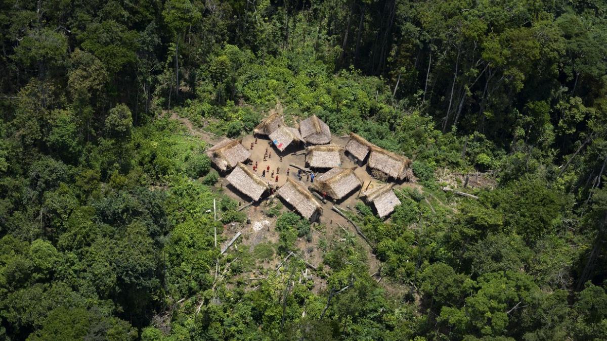 tribul Yanomami Amazon