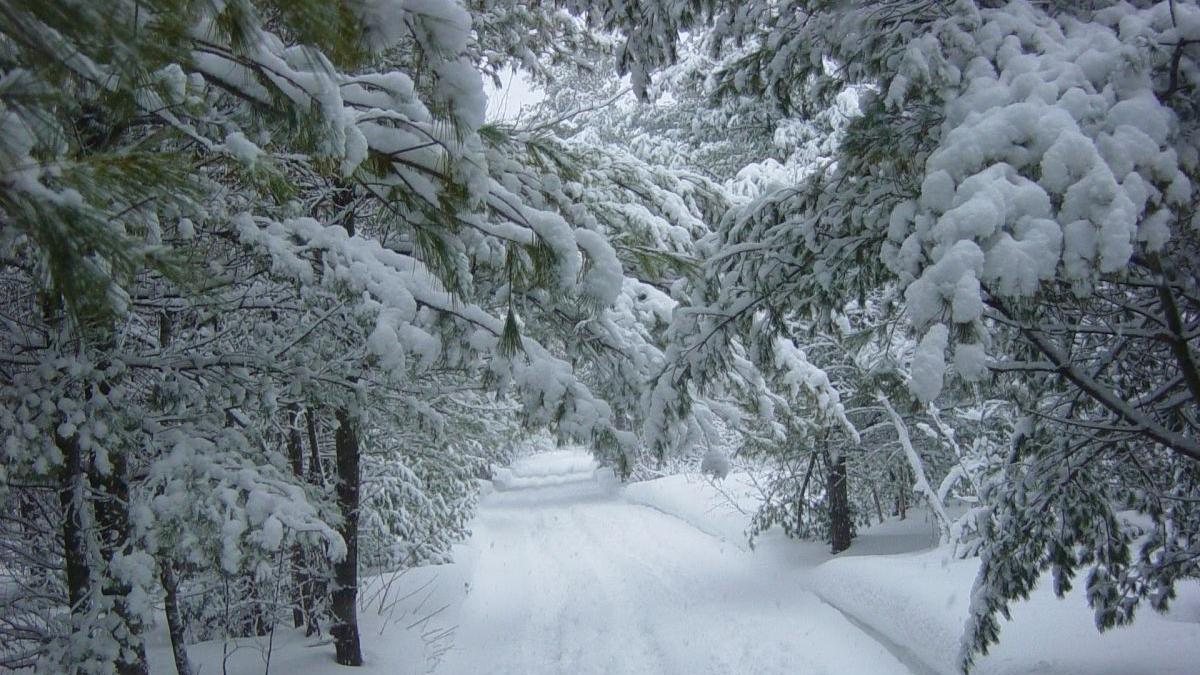 Ce urmează după ninsorile puternice din weekend. Prognoza meteo pentru următoarele două săptămâni