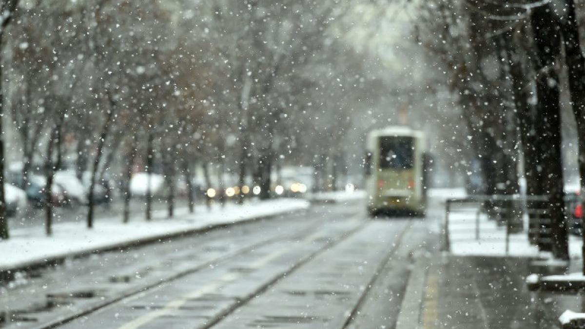 ninsoare bucuresti