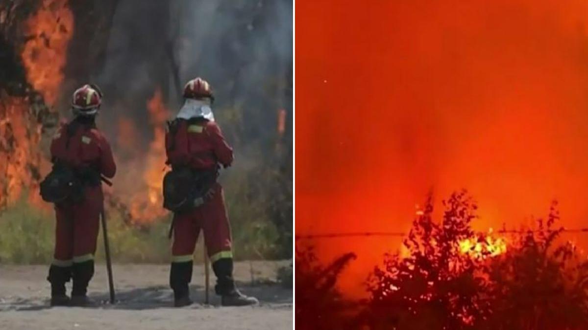 incendiu vegetatie chile