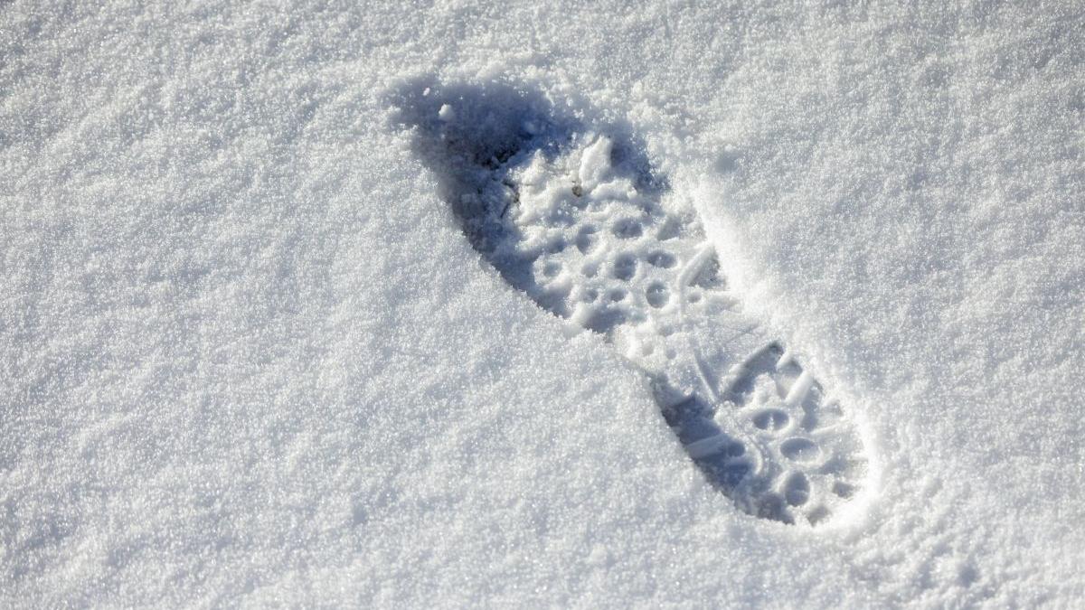 zapada ninsori prognoza meteo