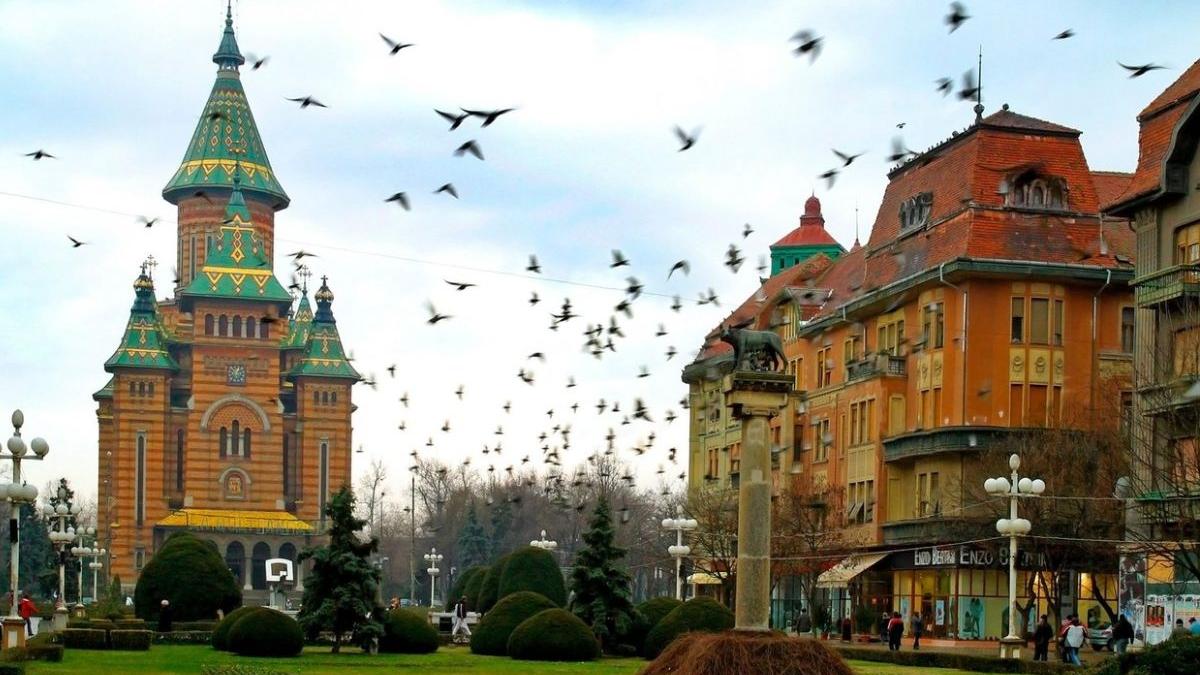 timisoara 