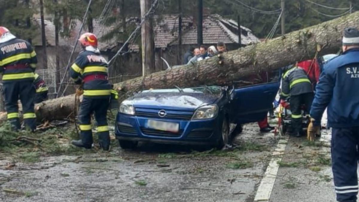 copac cazut masina azuga