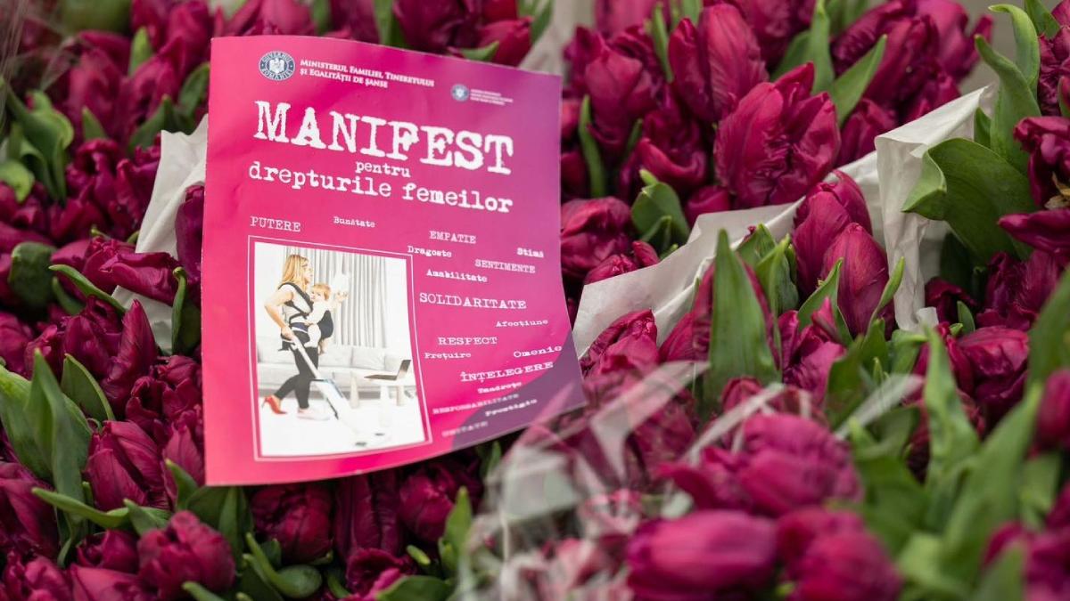 manifest femei