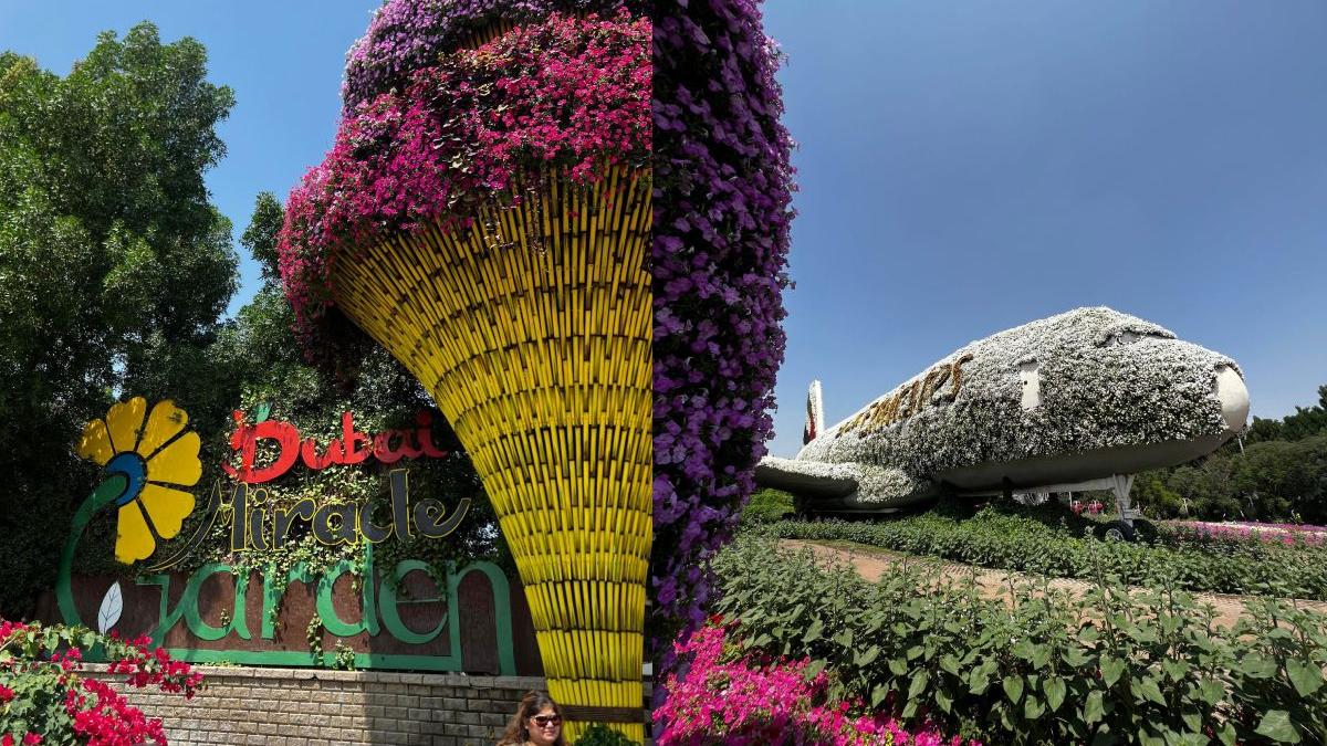 cea mai mare gradina de flori din lume dubai miracle garden