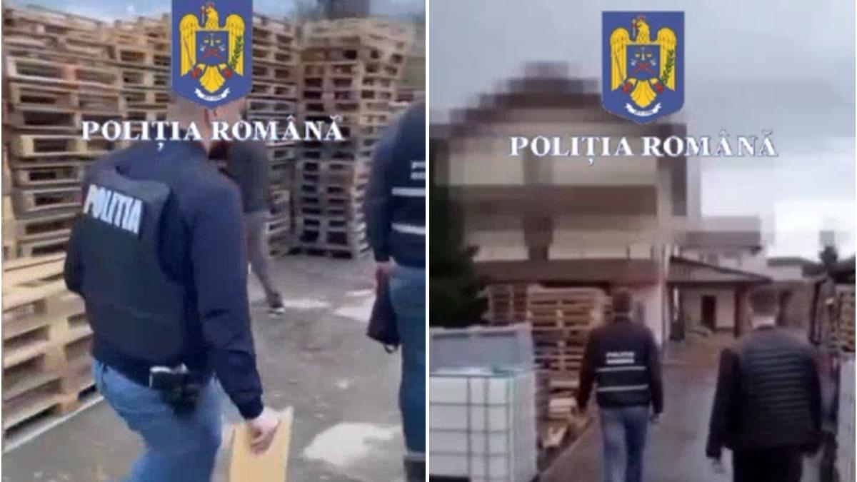 14 000 de paleti furati de angajatii ai unei firme din ilfov ancheta politie persoane retinute