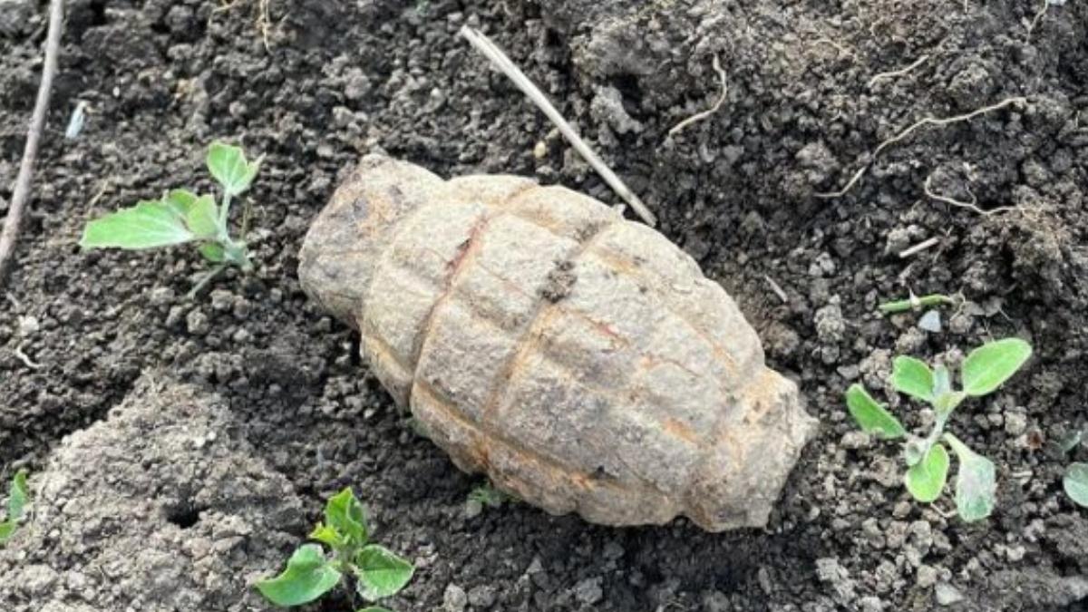 grenada descoperita de un barbat in timp ce efectua lucrari agricole in gradina in olt