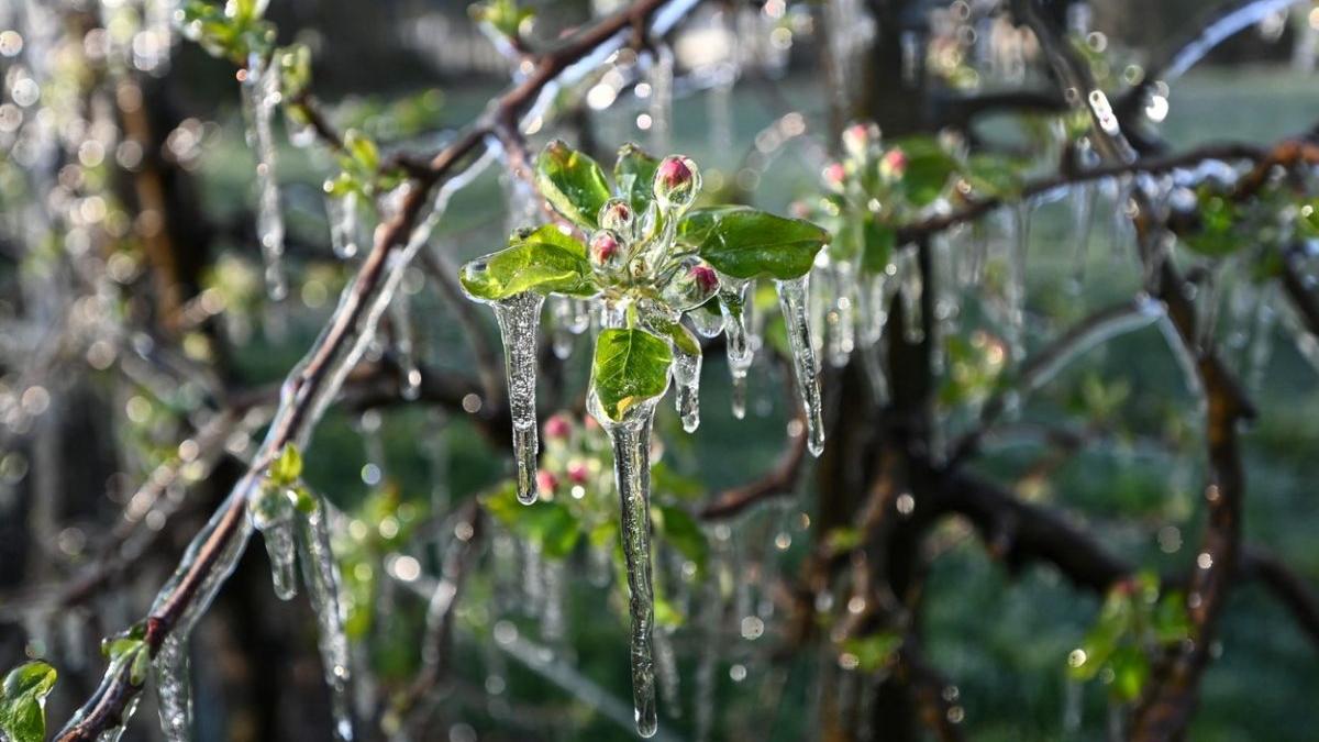 prognoza meteo vremea