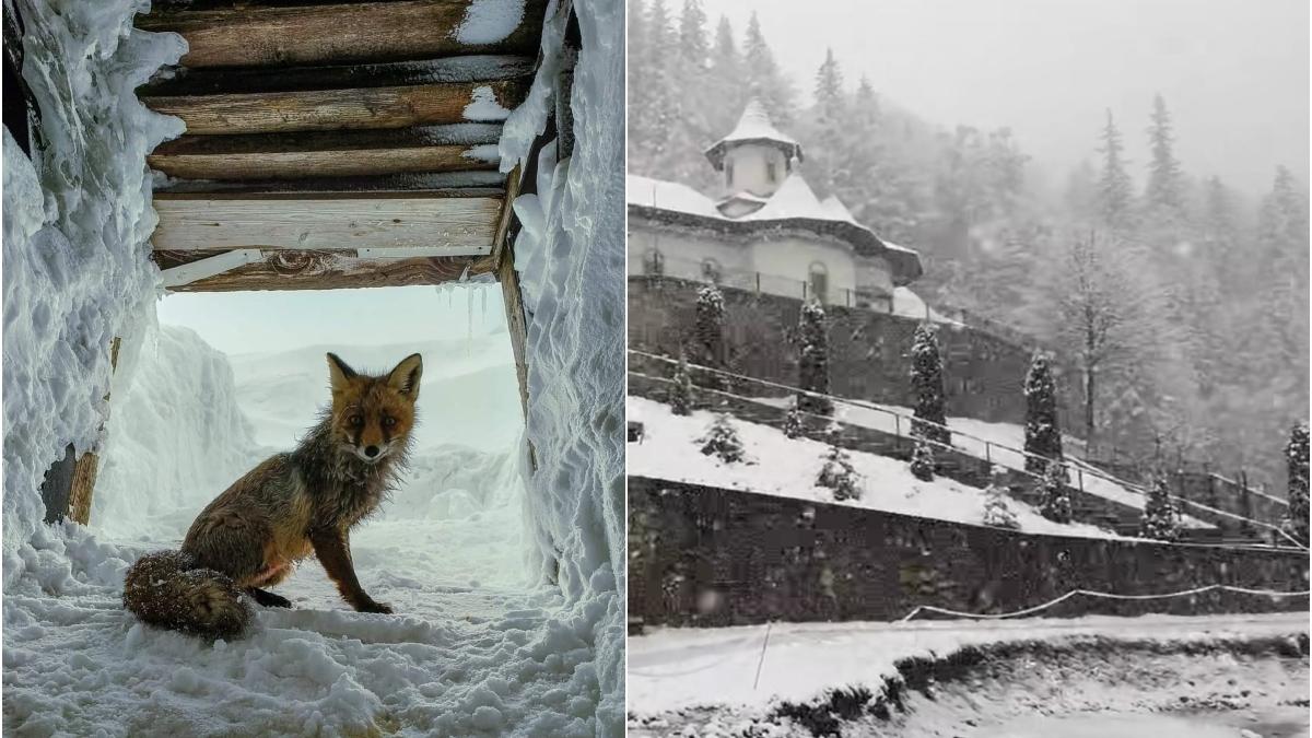 ninge in mai multe judete romania luna mai