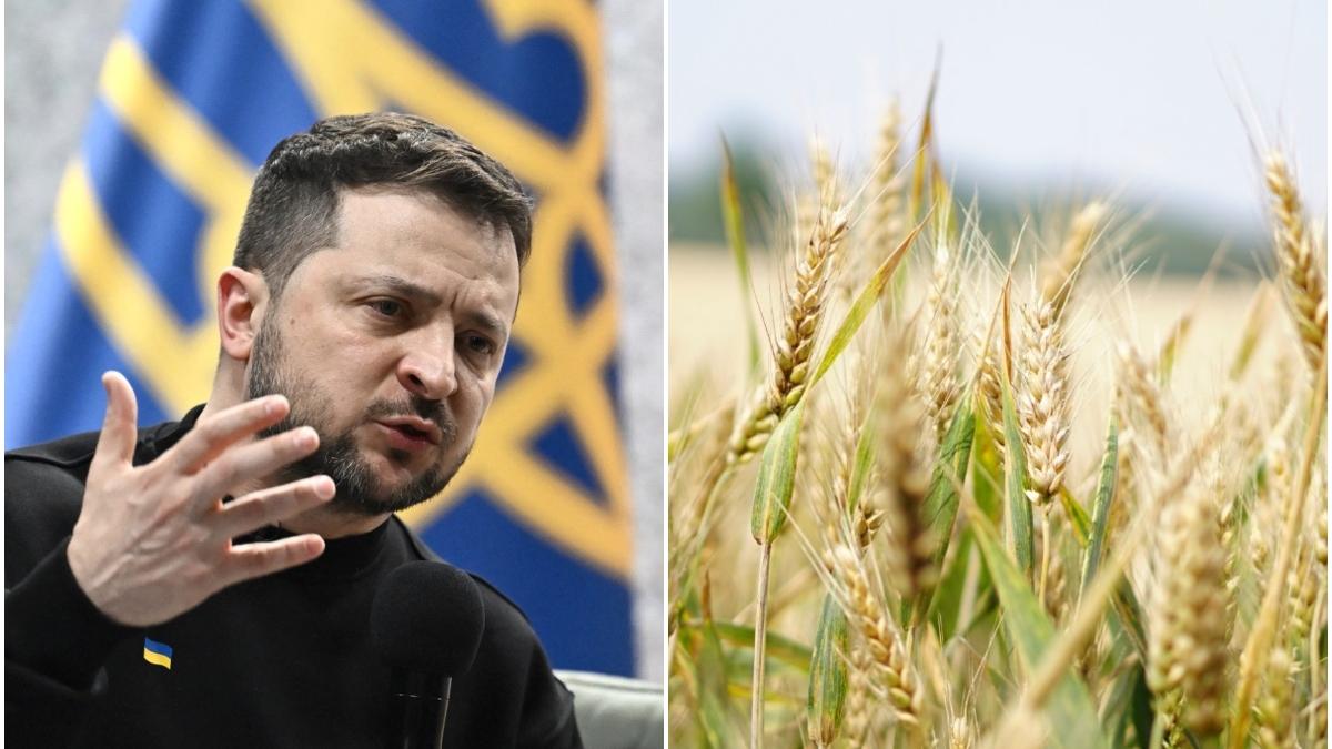 zelenski denunta restrictiile ue privind cerealele ucrainene si sustine ca sunt inacceptabile