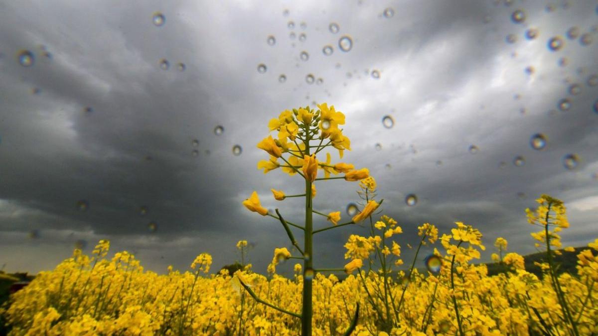 prognoza meteo vremea