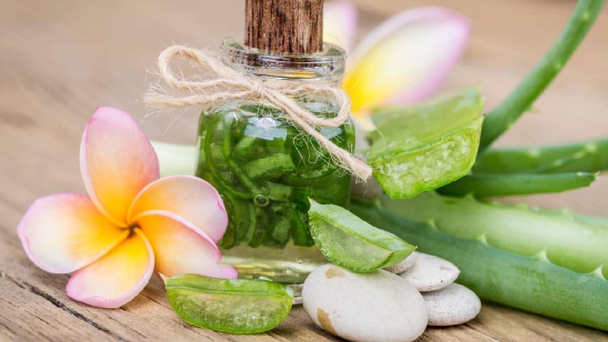 aloe vera si lavanda beneficii pentru frumusete si sanatate