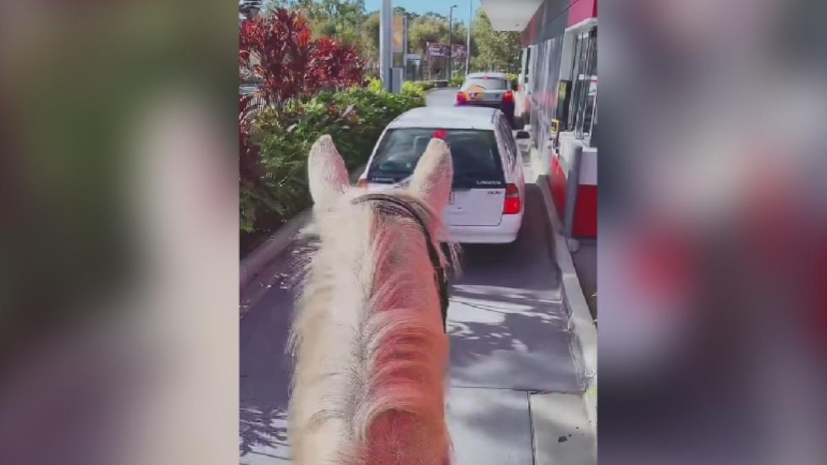 cal drive thru mcdonalds