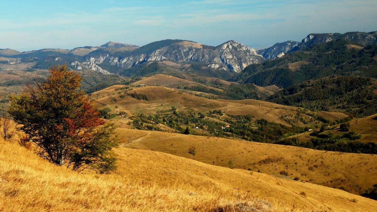 fenomen straniu muntii metaliferi hunedoara busole vulcani stinsi