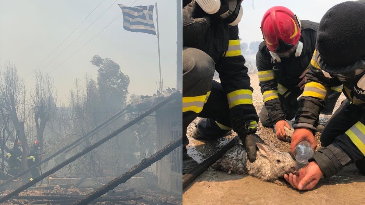 Συναγερμός πυρκαγιάς επιπέδου 5!  Ταξιδιωτική προειδοποίηση για Ρουμάνους που ταξιδεύουν στην Ελλάδα από το Υπουργείο Εξωτερικών