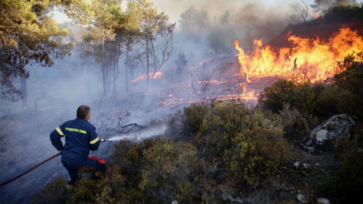 incendii grecia