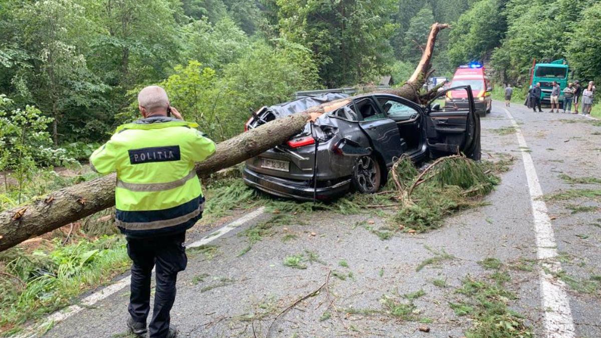 accident transalpina copac cazut masina 26 iulie 2023