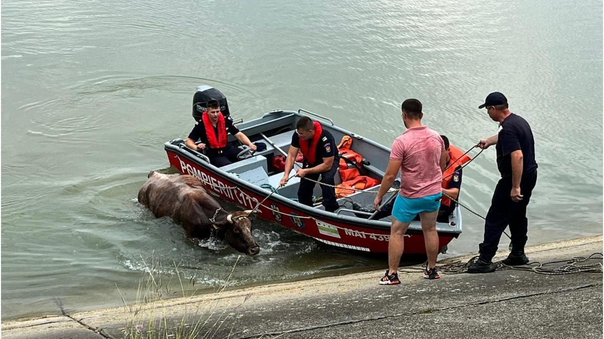 interventie pompieri bacau salvare vite lac