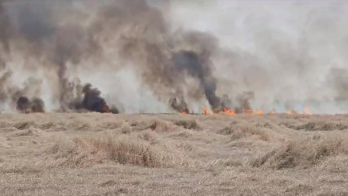 Zeci de hectare de teren agricol ard în Satu Mare. Mai multe autospeciale intervin