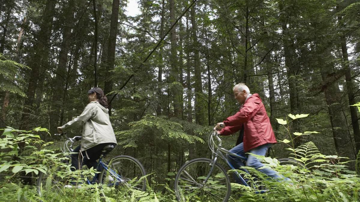 turisti nemti romania trecur frontiera fara control