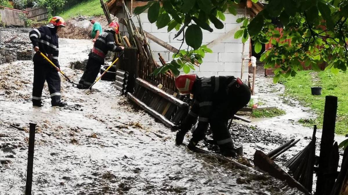 Firefighters Intervene in Over 50 Localities to Remove Storm Effects