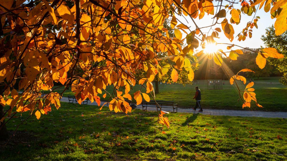 prognoza meteo vremea toamna spencer platt getty images