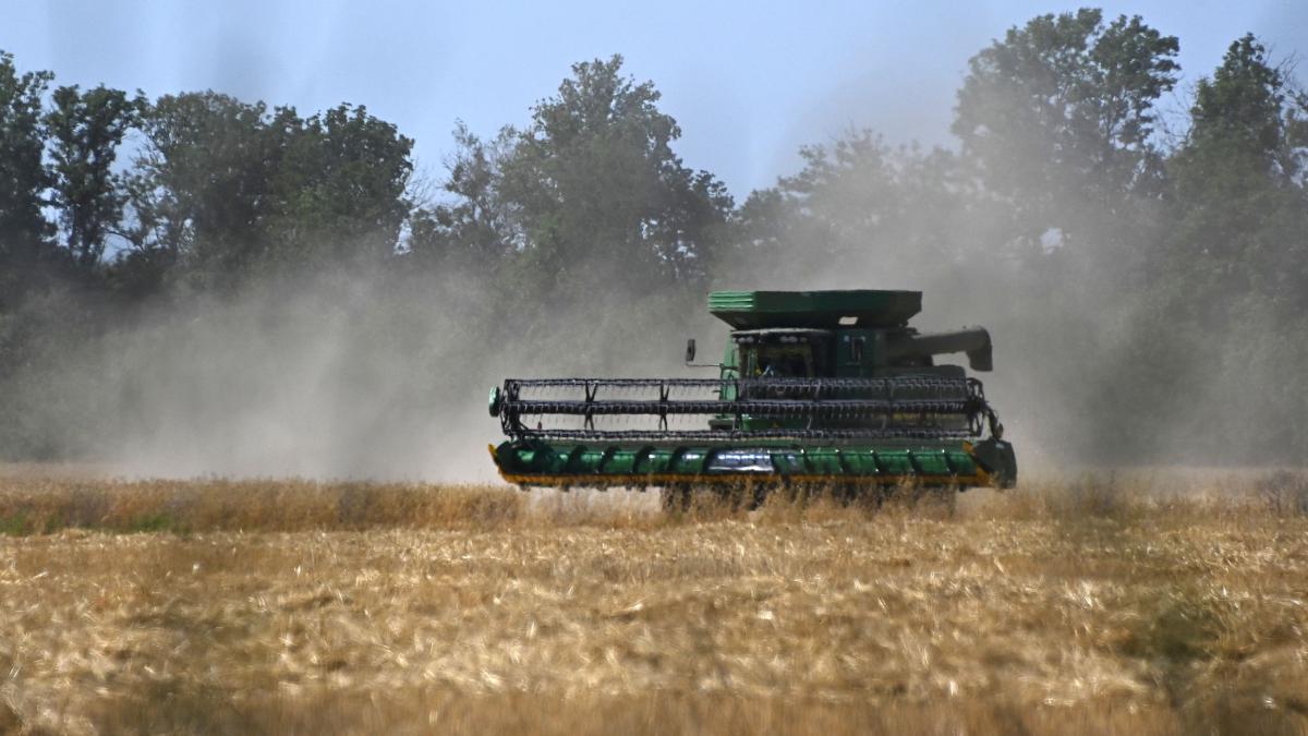 ministrul agriculturii cereale ucraina