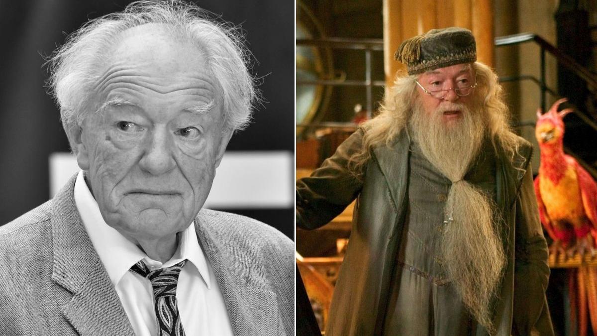 Sir Michael Gambon and Albus Dumbledore