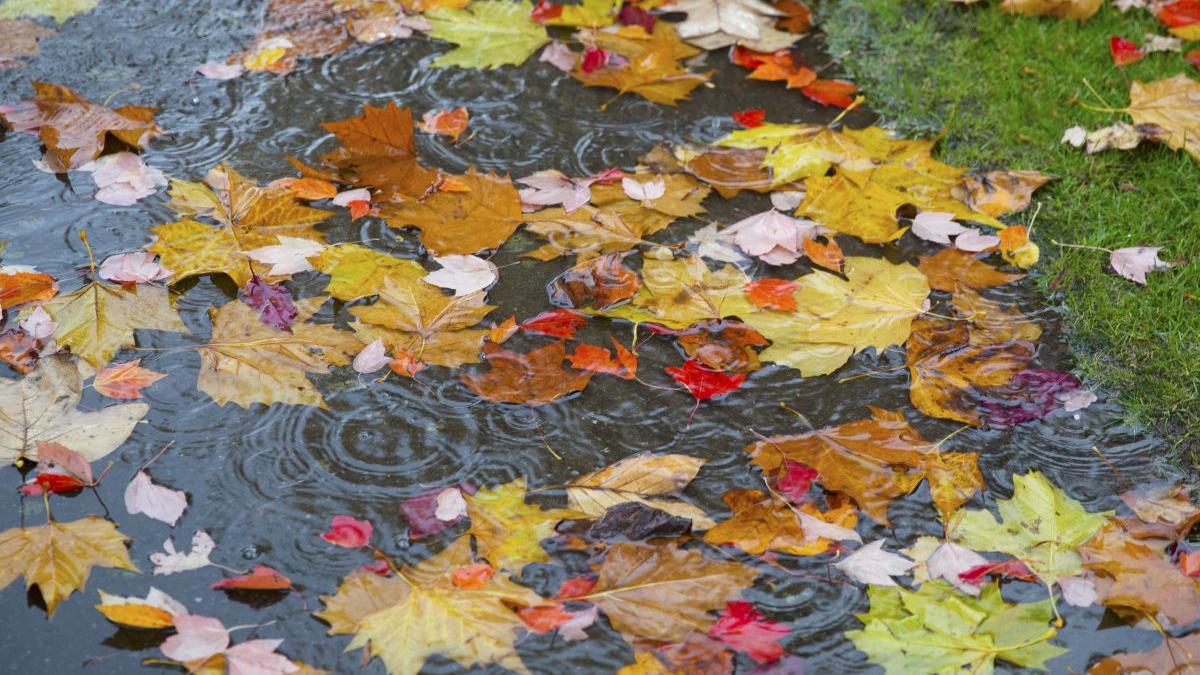 Getty Images / Grant Faint prognoza meteo vremea