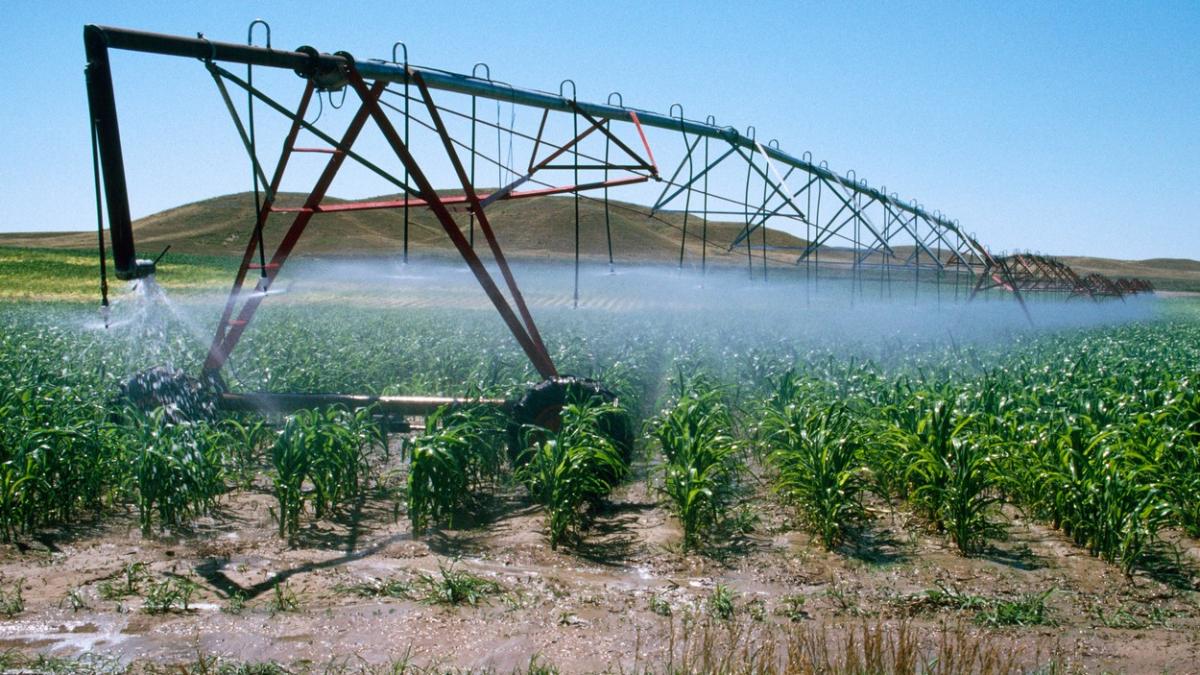 irigatii agricultura veolia