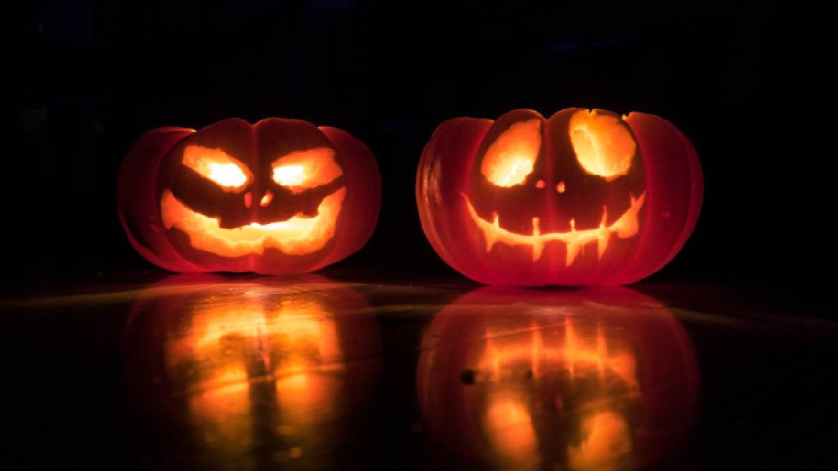 istoria capitalei spusa de parcurile si muzeele ei bonus ateliere de halloween la antipa