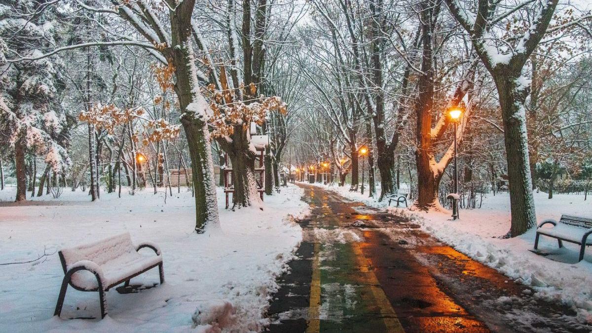 zapada bucuresti