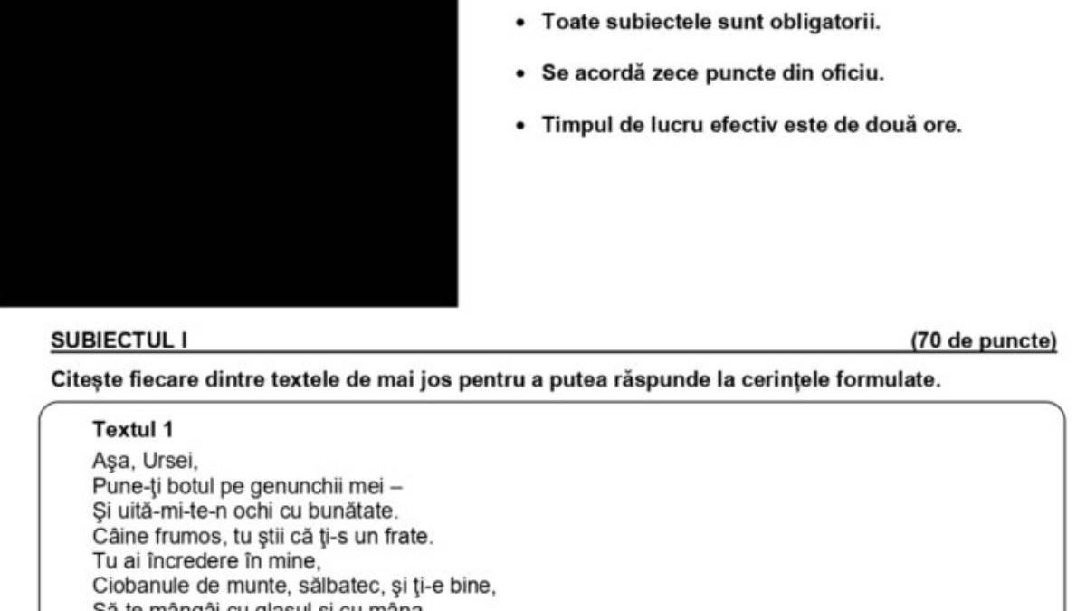 model subiect limba si literatura romana evaluare nationala 2024 clasa a viii a