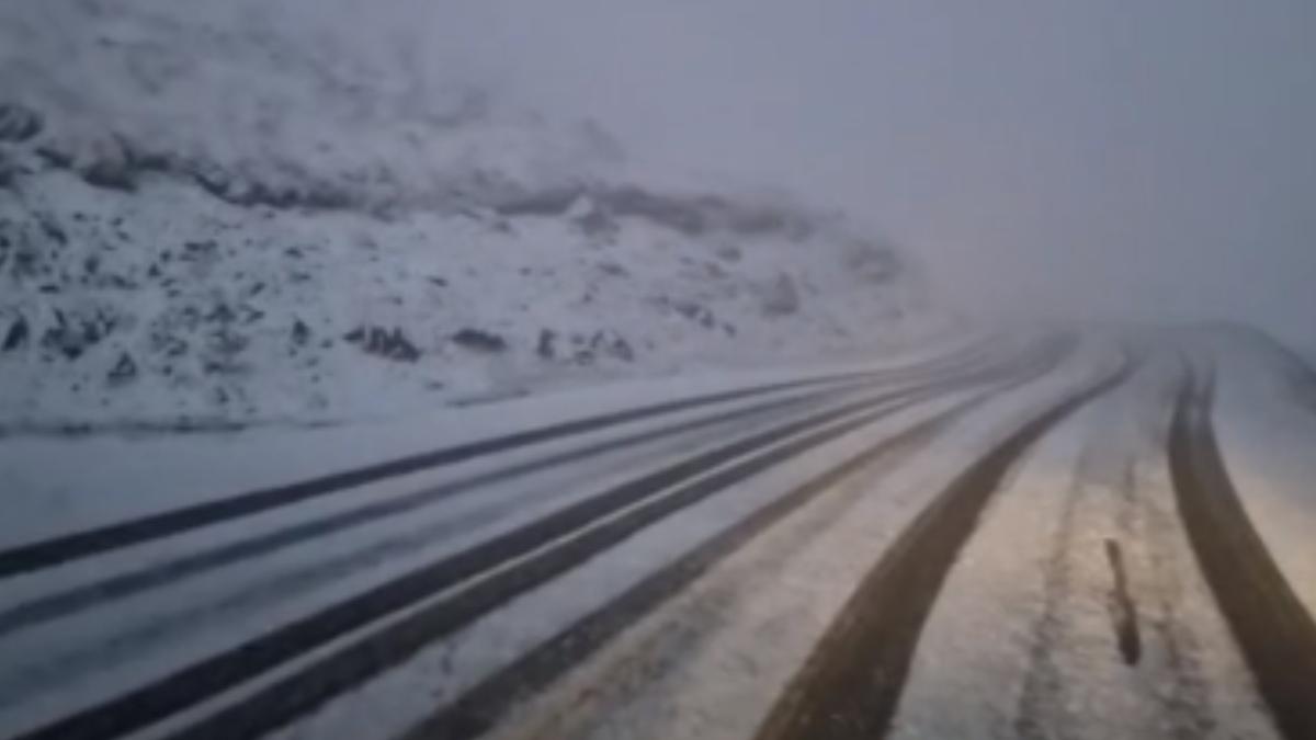 ninsoare transalpina