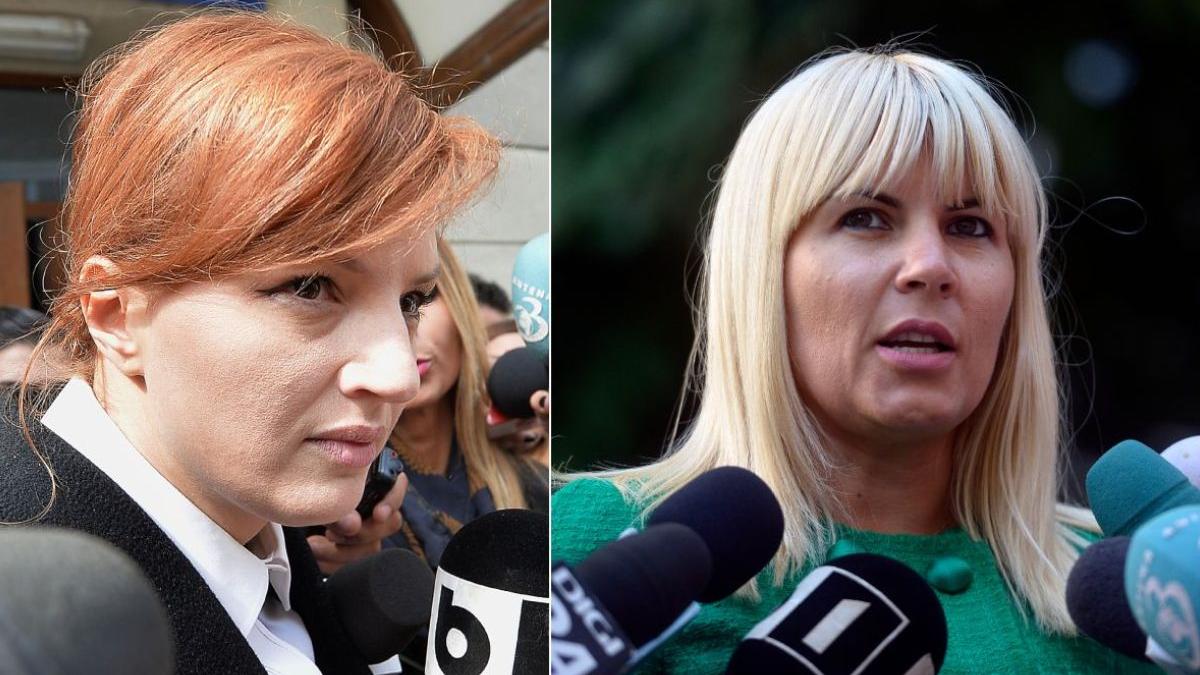 ioana basescu elena udrea