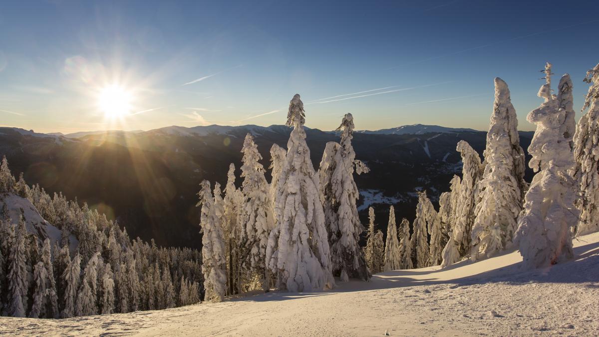 poiana brasov