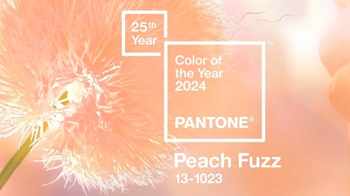 Culoarea Anului 2024 Peach Fuzz 873780 