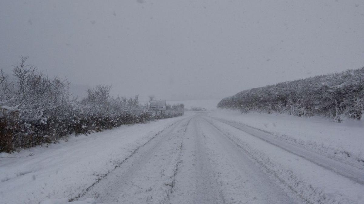 Ninge abundent în centrul țării | ”Este cel mai intens fenomen pe care l-am avut în ultimii ani”