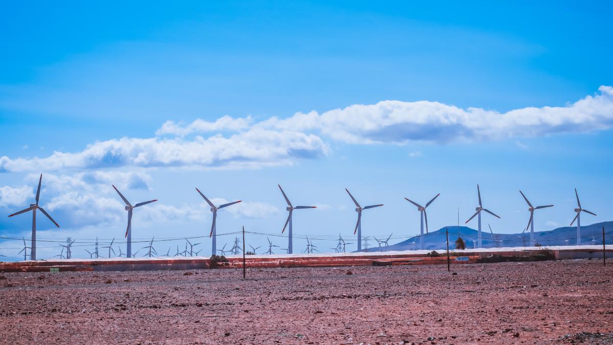 energie eoliana getty images codrin rusu