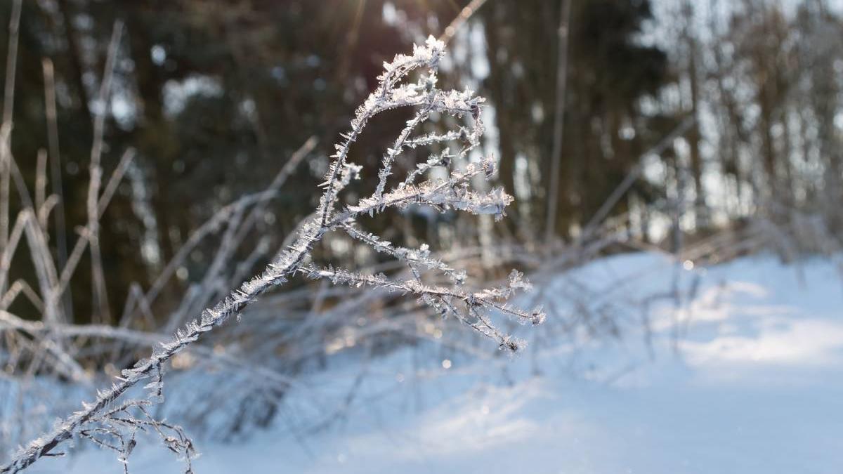 prognoza meteo ianuarie